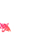 Turboboost logo